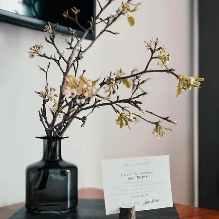 Esplanade ホテル 3*